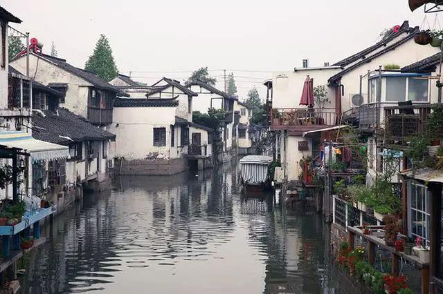 一年一度考研季，为什么都建议大学生到图书馆复习？游戏画面